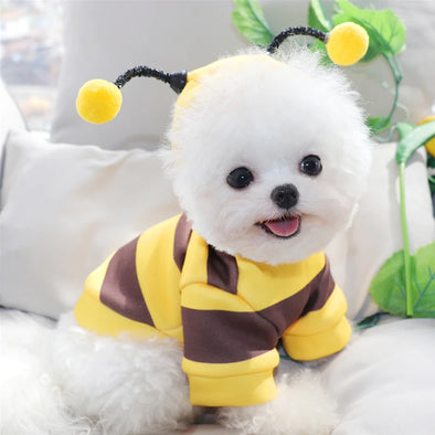 Pet Bee