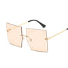 Oversized Sunglasses - Lyancci.official