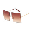 Oversized Sunglasses - Lyancci.official