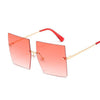 Oversized Sunglasses - Lyancci.official