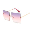 Oversized Sunglasses - Lyancci.official